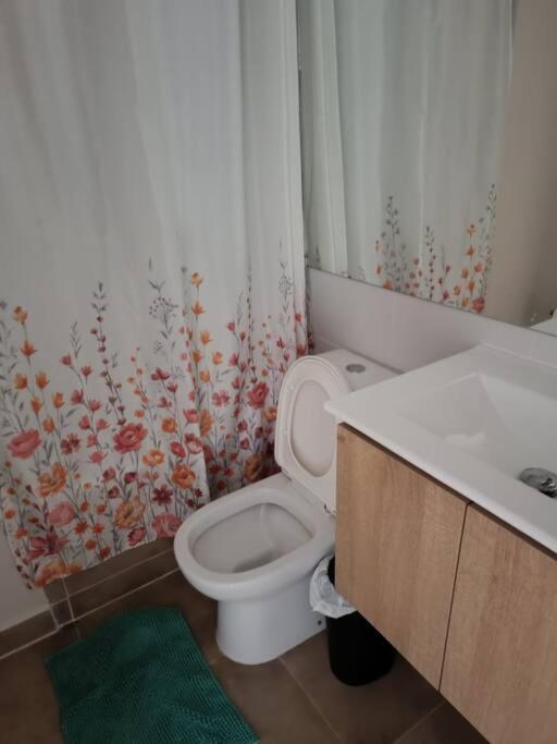 Apartamento Departamento Serena Pasos Faro *